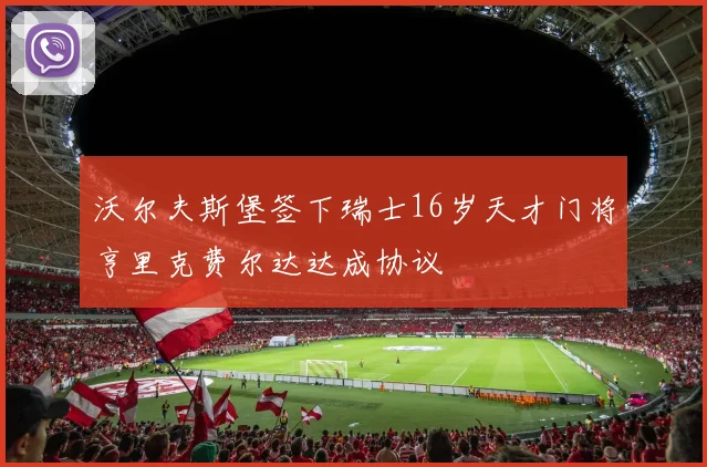 沃尔夫斯堡签下瑞士16岁天才门将亨里克费尔达达成协议